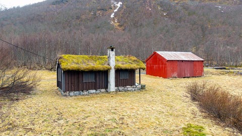 Bilde 1 av annonsen