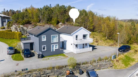 Bilde 1 av annonsen