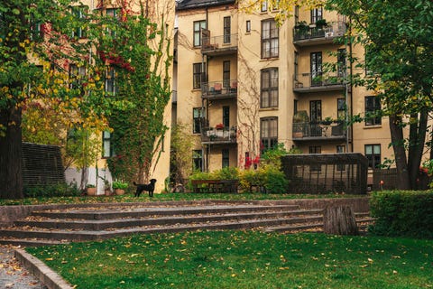 Bilde 2 av annonsen