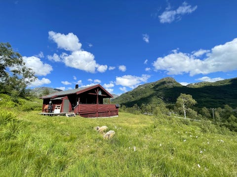 Bilde 1 av annonsen