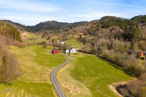 Bilde 2 av annonsen