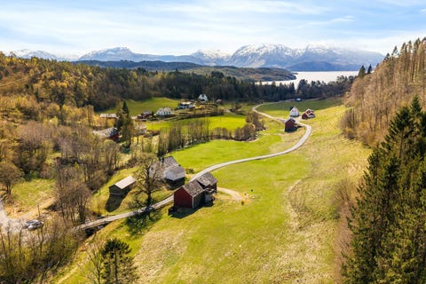 Bilde 1 av annonsen
