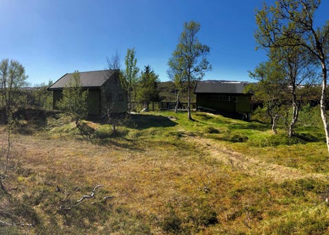 Bilde 1 av annonsen