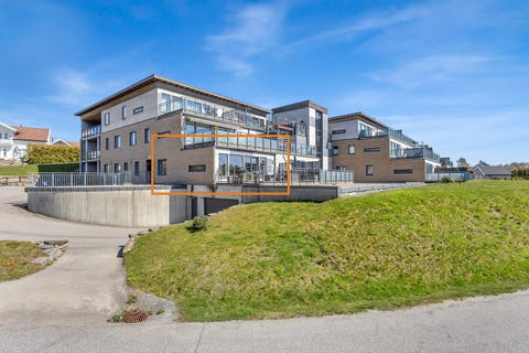 Bilde 1 av annonsen