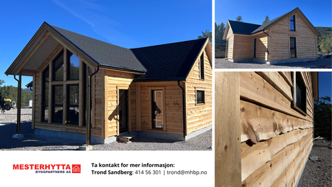 Bilde 2 av annonsen