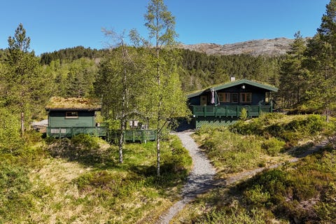 Bilde 1 av annonsen