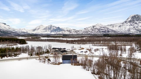 Bilde 1 av annonsen