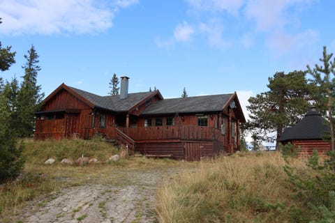 Bilde 1 av annonsen