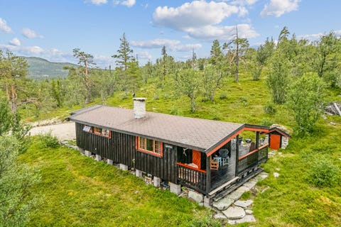 Bilde 1 av annonsen