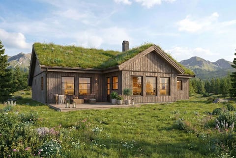 Bilde 1 av annonsen