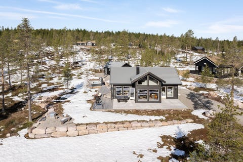 Bilde 1 av annonsen
