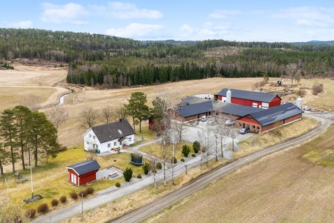 Bilde 1 av annonsen