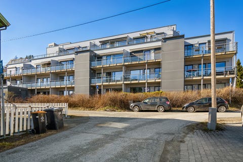 Bilde 2 av annonsen