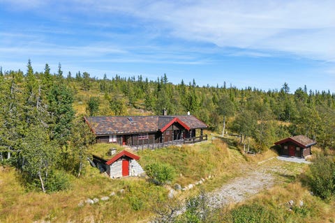 Bilde 1 av annonsen