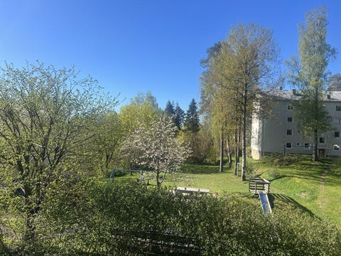 Bilde 2 av annonsen