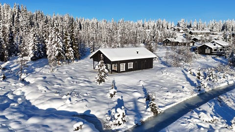 Bilde 1 av annonsen