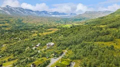 Bilde 1 av annonsen