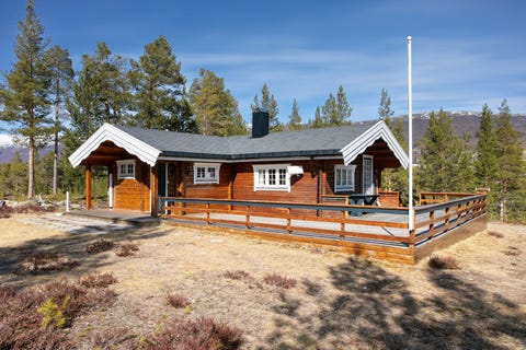 Bilde 1 av annonsen
