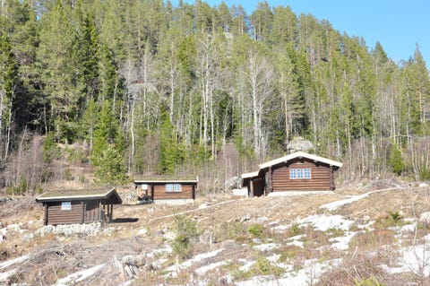 Bilde 2 av annonsen