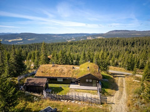Bilde 2 av annonsen