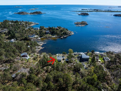 Bilde 1 av annonsen