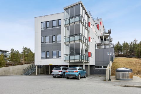 Bilde 1 av annonsen