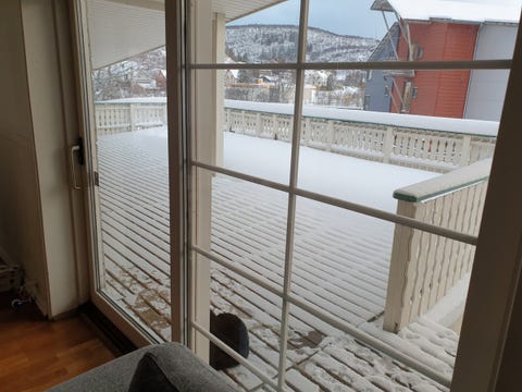 Bilde 2 av annonsen