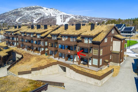 Bilde 1 av annonsen