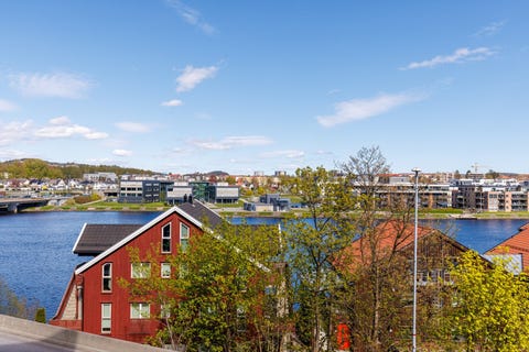 Bilde 1 av annonsen