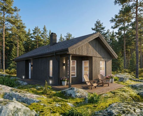 Bilde 1 av annonsen