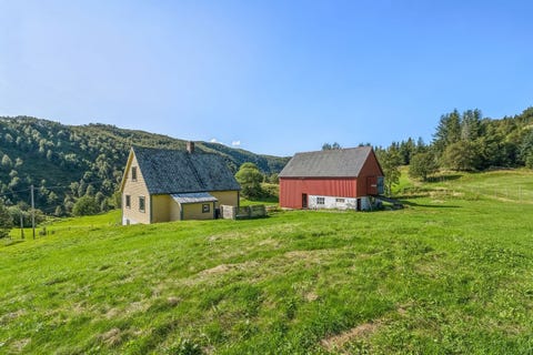 Bilde 1 av annonsen
