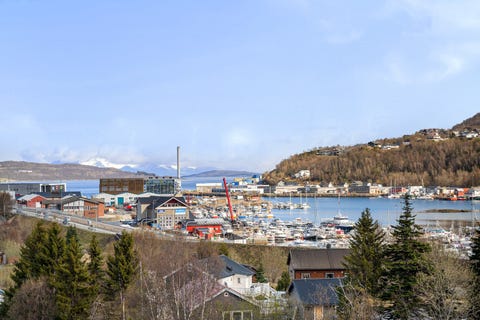 Bilde 2 av annonsen