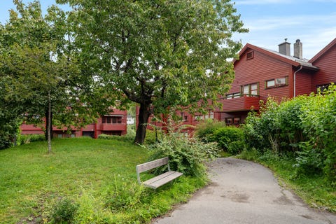 Bilde 2 av annonsen