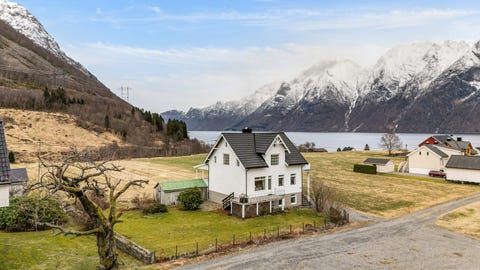 Bilde 1 av annonsen