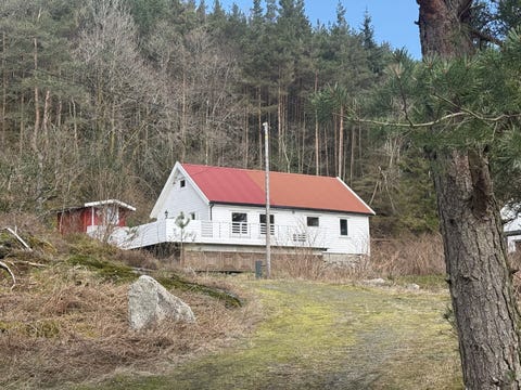 Bilde 1 av annonsen