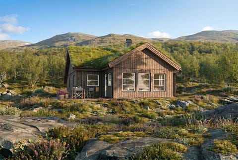 Bilde 1 av annonsen