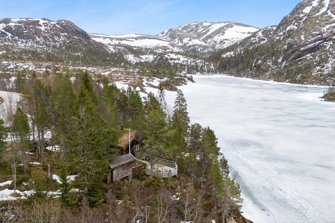 Bilde 1 av annonsen