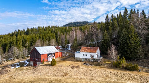 Bilde 1 av annonsen