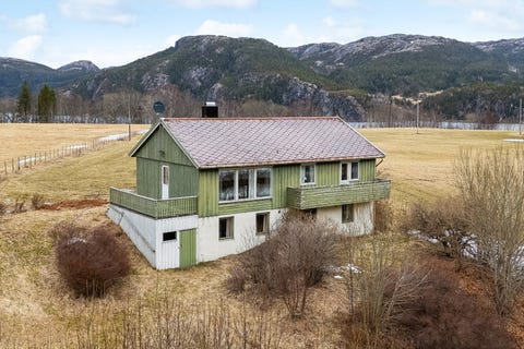 Bilde 1 av annonsen