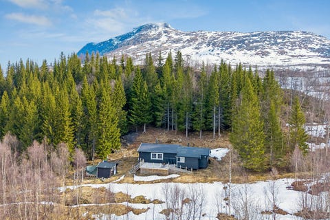 Bilde 1 av annonsen