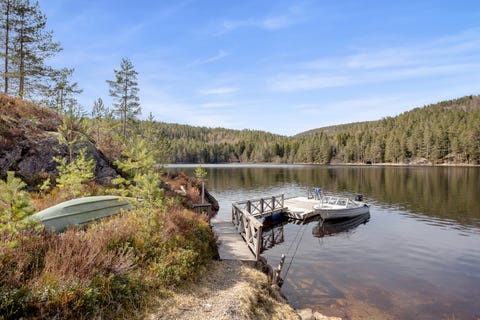 Bilde 2 av annonsen