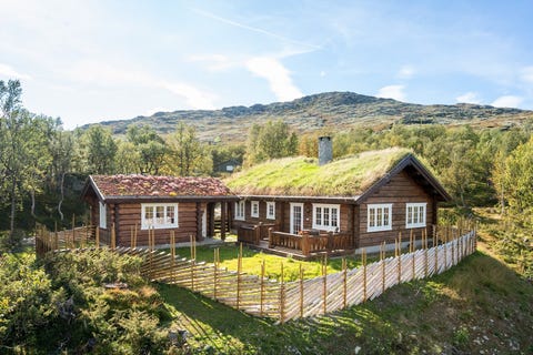 Bilde 1 av annonsen
