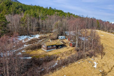 Bilde 1 av annonsen