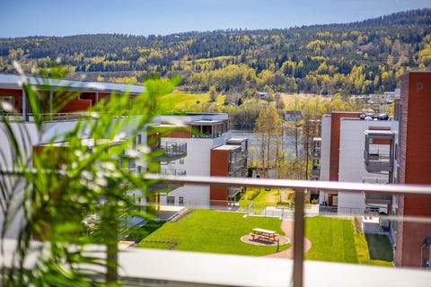 Bilde 2 av annonsen
