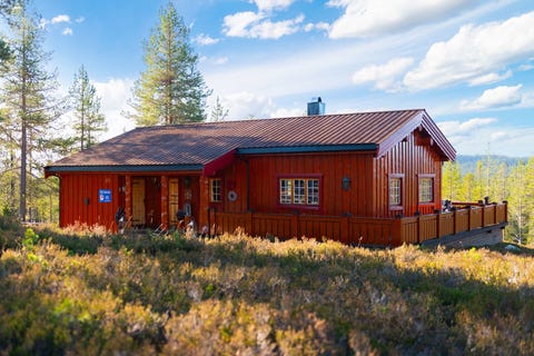 Bilde 1 av annonsen