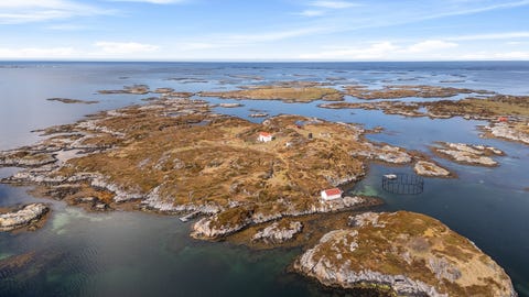 Bilde 1 av annonsen