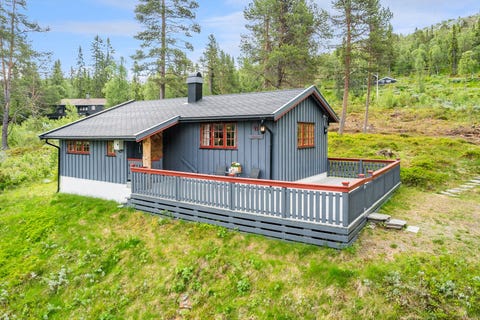 Bilde 1 av annonsen