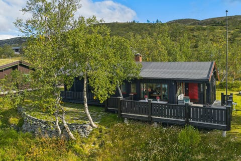 Bilde 1 av annonsen