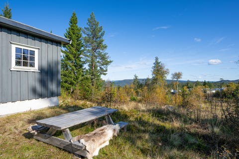 Bilde 2 av annonsen