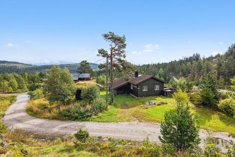 Bilde 1 av annonsen